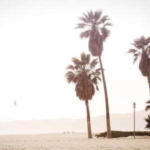 Bamboo Cutting Board
