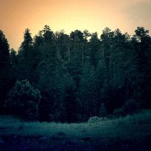 Leather Messenger Bag